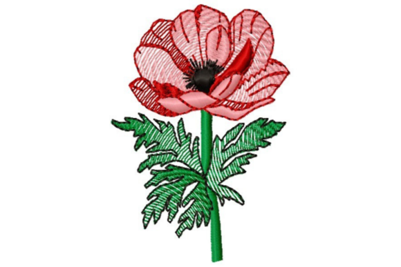Sketched Poppy: A Designer’s Real-World Embroidery Review